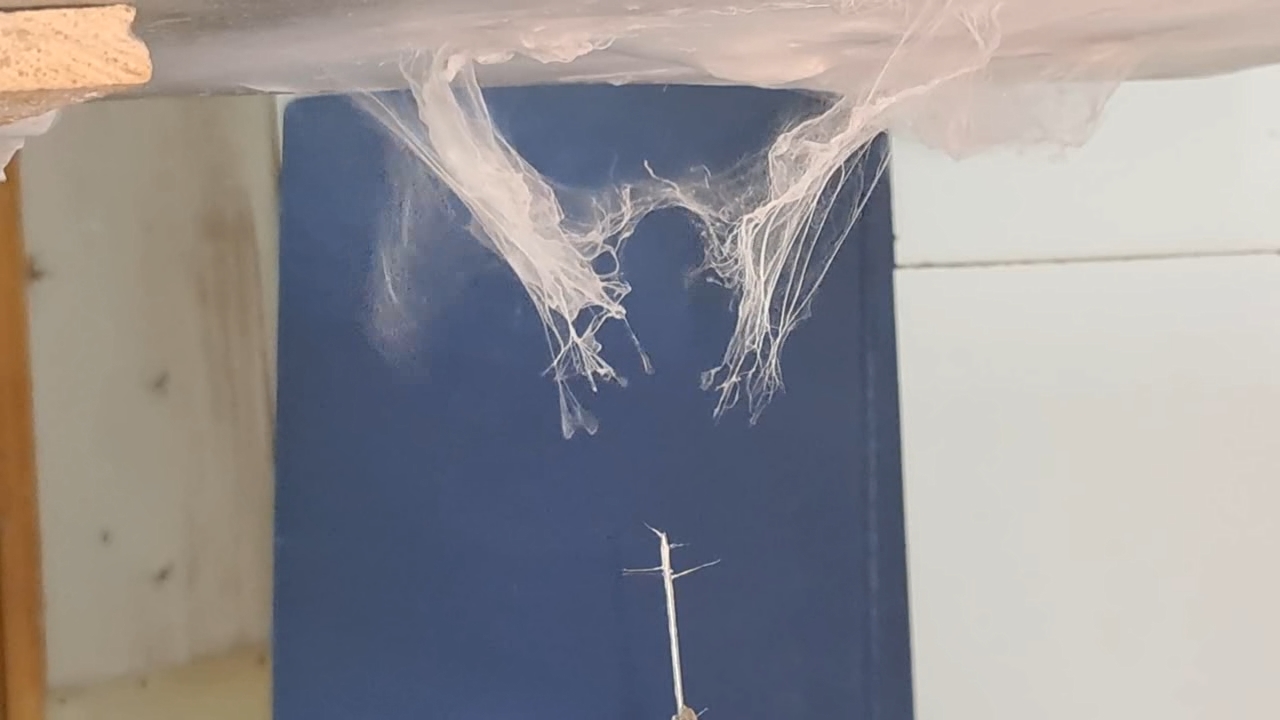 Electrospinning: Solutions of Polystyrene and Polyvinylidene Difluoride in Dimethylformamide